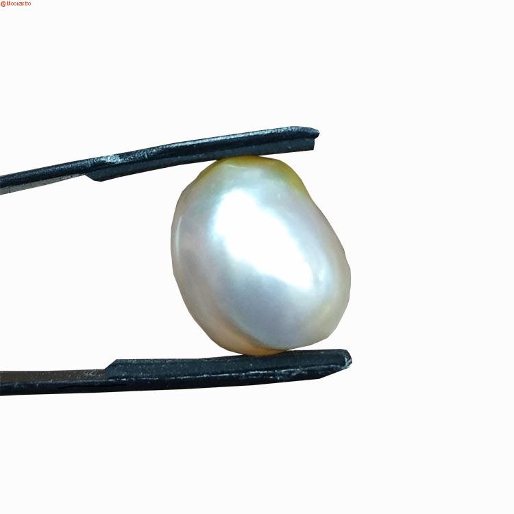 natural premium pearl medium size